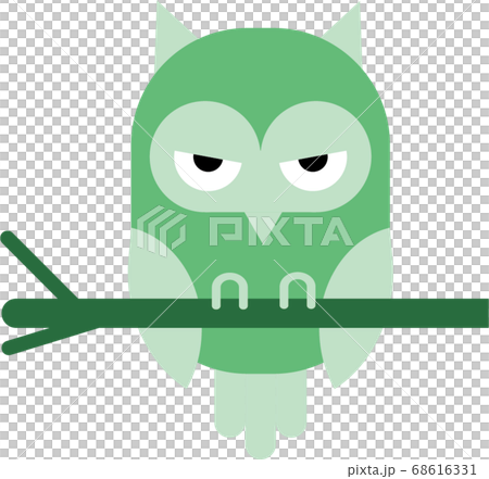 貓頭鷹圖 貓頭鷹圖 68616331