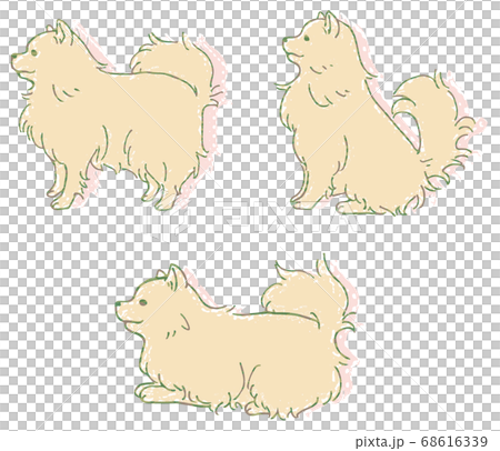 犬　お座り　伏せ　待て 68616339