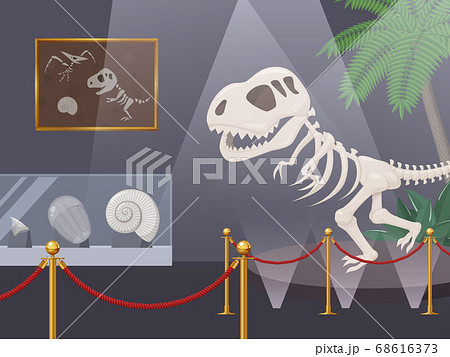 恐竜の化石を展示した博物館のイラストのイラスト素材