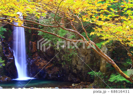 有馬温泉 鼓ケ滝（神戸市北区）周辺の紅葉 68616431