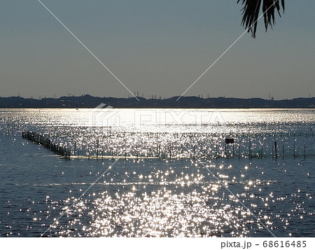 夕日に輝く湖面と海苔の養殖場 夕日に輝く湖面と海苔の養殖場 68616485
