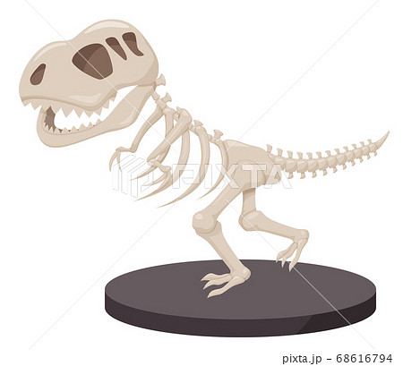 Illustration Of Fossil Tyrannosaurus Displayed Stock Illustration