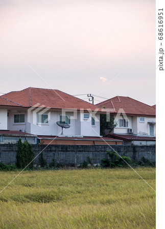 Paddy field is growing near the urban village. 68616951