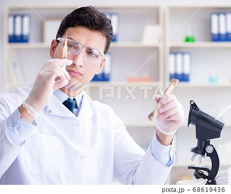 Paleontologist looking at extinct animal bone Paleontologist looking at extinct animal bone 68619436