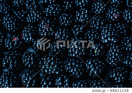 Close-up of ripe black mulberry berries. View from Close-up of ripe black mulberry berries. View from 68621138