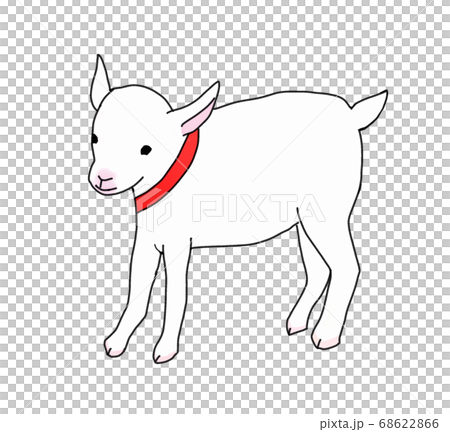 赤い首輪をしや子ヤギのイラスト素材 赤い首輪をしや子ヤギのイラスト素材
