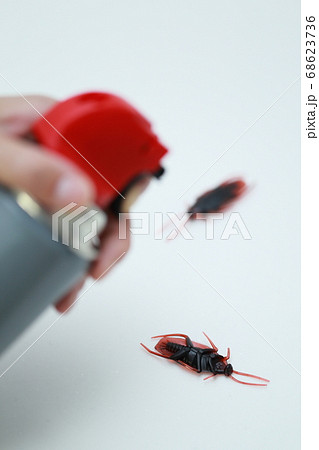 キッチンに現れたゴキブリを殺虫剤で撃退する主婦 68623736