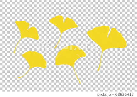 イチョウの水彩風ベクターイラスト 68626413