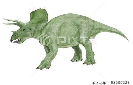 トリケラトプス 白亜紀後期の角竜類で雑食性 三つの角を持つ のイラスト素材