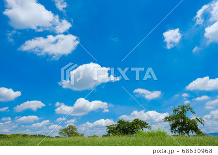 夏の草原 爽やか 背景素材の写真素材