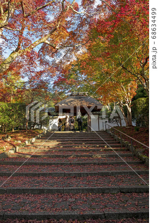 紅葉の安楽寺 68634499