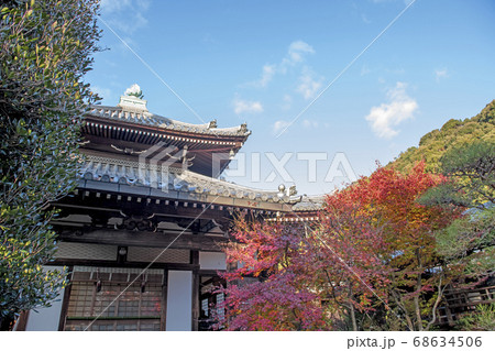 紅葉の安楽寺 紅葉の安楽寺 68634506