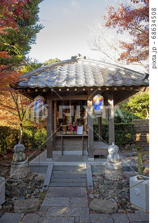 紅葉の安楽寺 紅葉の安楽寺 68634508