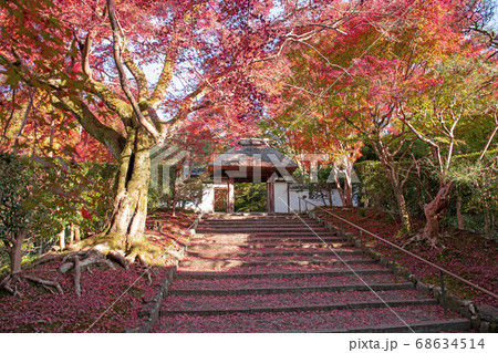 紅葉の安楽寺の写真素材