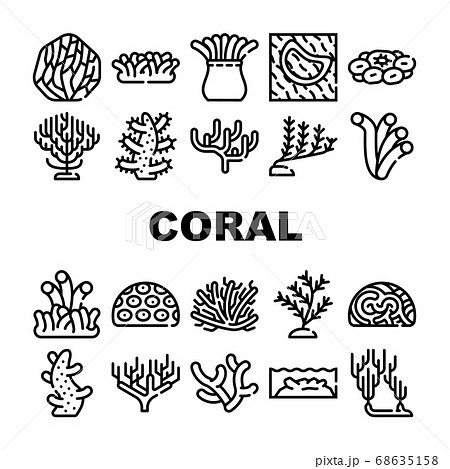 Coral Sea Aquatic Reef Collection Icons Set Vector Coral Sea Aquatic Reef Collection Icons Set Vector 68635158