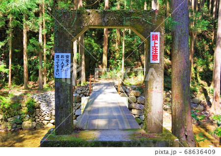 和歌山県　新宮市　桑ノ木の滝へ行くまでにある吊り橋 68636409