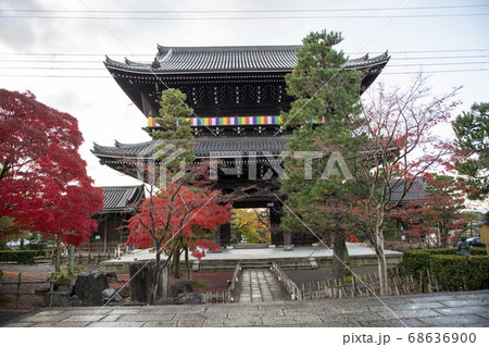 秋の金戒光明寺 68636900