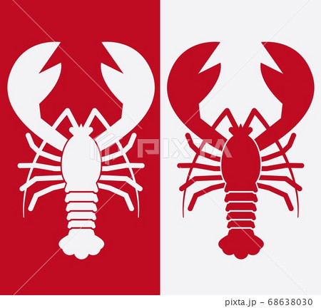 Vector lobster on white background. Seafood design 68638030