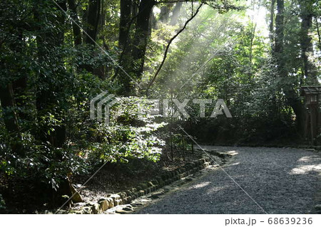 倭姫宮　光彩 68639236