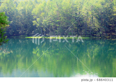 奥蓼科の御射鹿池 68640311