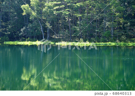奥蓼科の御射鹿池 奥蓼科の御射鹿池 68640313