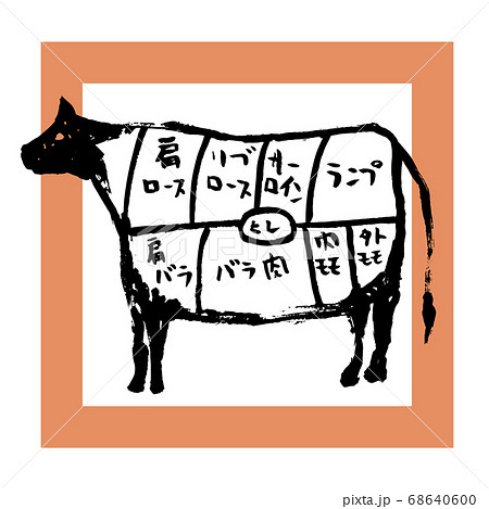手描きの牛肉の部位のイラストとタイポグラフィ グラフィックのイラスト素材