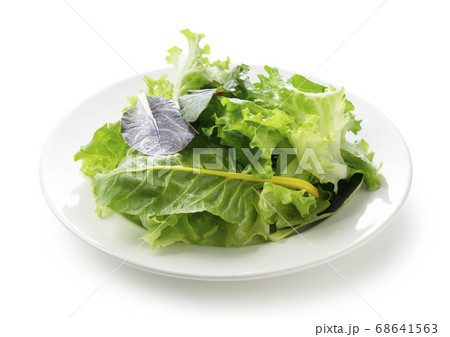 リーフミックスサラダ 68641563