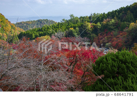 紅葉の勝尾寺 紅葉の勝尾寺 68641791