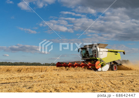 Combine harvester harvests ripe wheat. agriculture image 68642447
