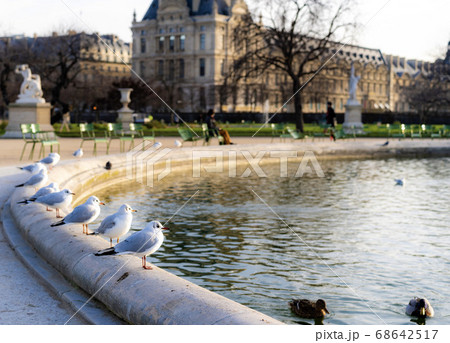 外国の公園 水辺で休憩する水鳥 外国の公園 水辺で休憩する水鳥 68642517