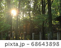 森林から覗く夕陽 68643898
