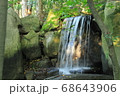 苔むした岩と流れる滝 68643906