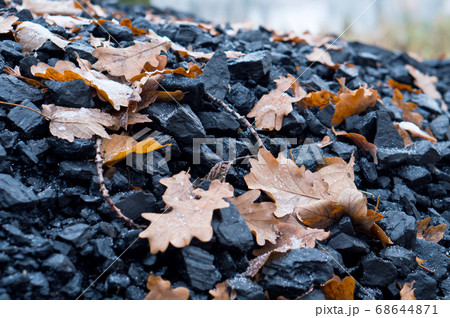 black coal, yellow leaves fallen from the trees on black coal, yellow leaves fallen from the trees on 68644871