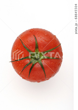 トマト トマト 68645504