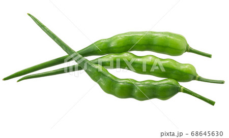 Radish pods (Raphanus sativus silique) isolated on 68645630