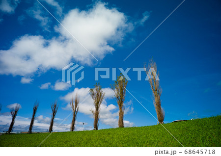 横利根閘門ふれあい公園 68645718