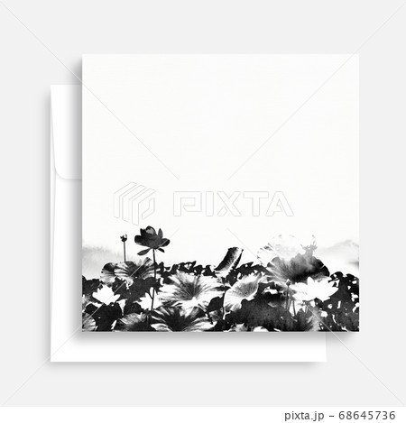 モノクロ 水彩画 蓮 68645736