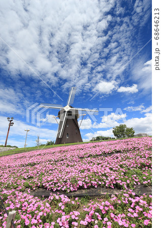 風車の丘(花博記念公園） 68646213