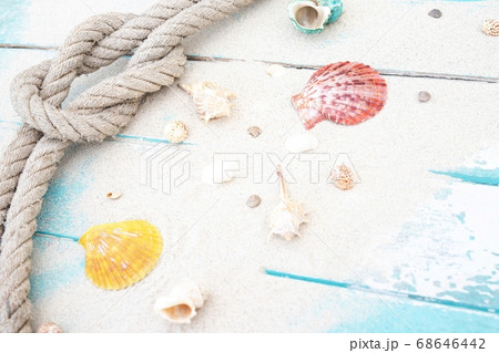 Summer time concept with sea shells Summer time concept with sea shells 68646442