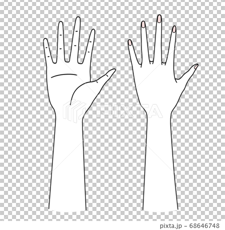 Palm of the hand 68646748