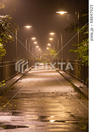 Moody Bridge on a Hazy Night 68647025