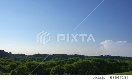 青空と森と、すこしの雲 68647155