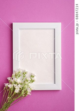White empty photo frame mockup with mouse-ear chickweed flowers on pink purple background 68647214