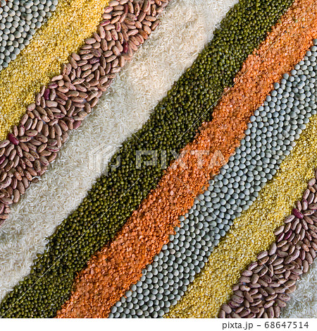 colorful striped rows of dry beans, legumes, peas colorful striped rows of dry beans, legumes, peas 68647514