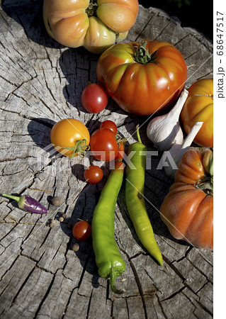 Fresh tomatoes. Colorful image with assorted Fresh tomatoes. Colorful image with assorted 68647517