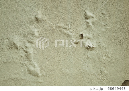 Wall covered by rough plaster with bubbles of mold 68649443