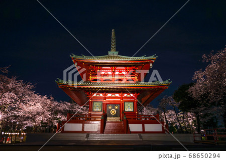 寺と夜桜 68650294