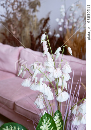 Pink sofa surrounded by herbs, dried flowers and cereals.Beautiful interior in eco style. 68650511