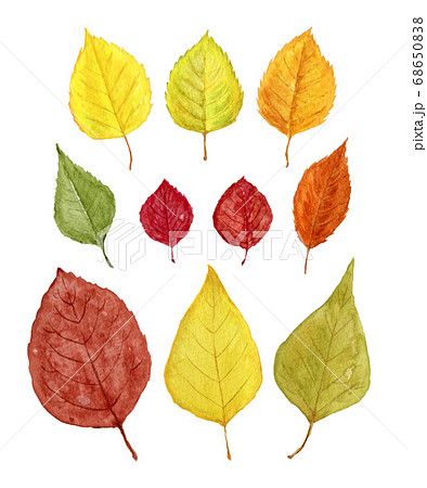 秋の葉 水彩イラスト 素材のイラスト素材