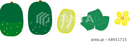 冬瓜セット	 68651715